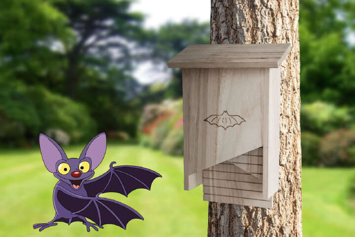 Fledermaushaus Naturholz